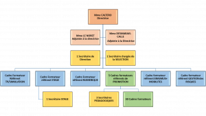 ifsi organigramme chu